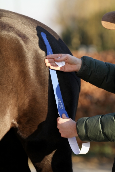 Equi-Tape® Advantage, royal blue, 5m x 5cm